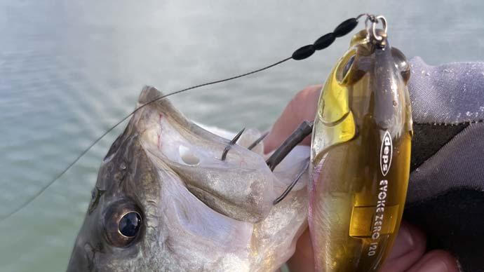 September bass fishing