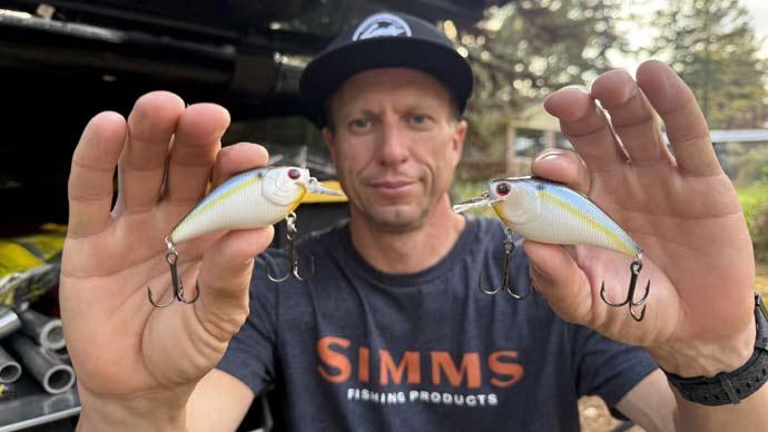 Crankbaits