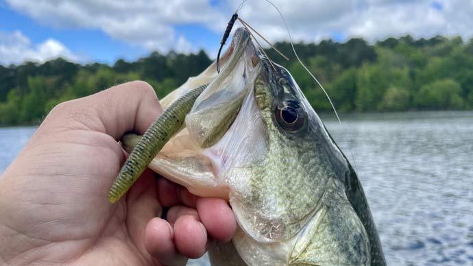 Wacky rig