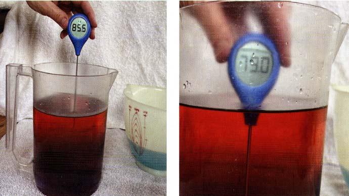 Thermocline
