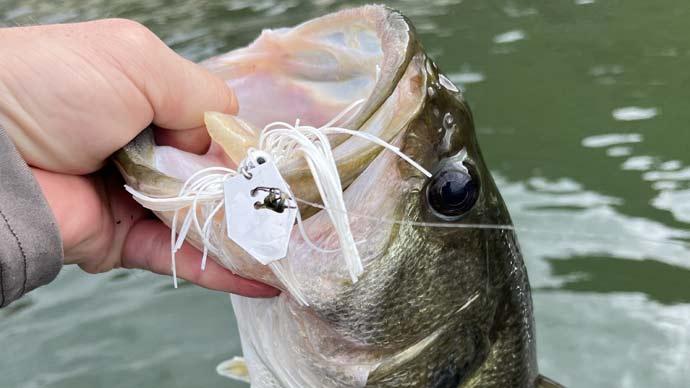 October baits
