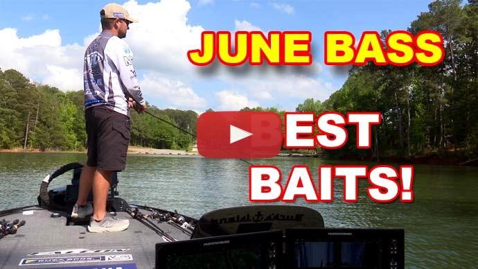 June bass fishing