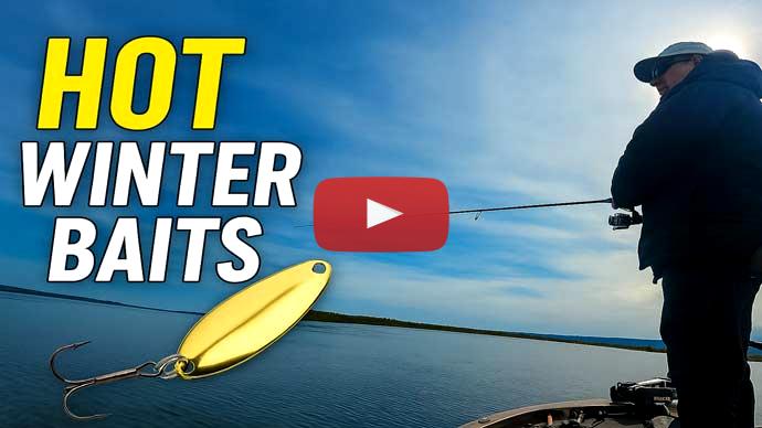 Cold Water Baits