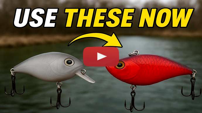 Spring bass fishing