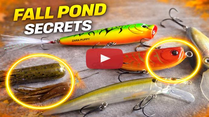 Early fall bass fishing