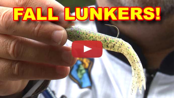 Fall tube baits