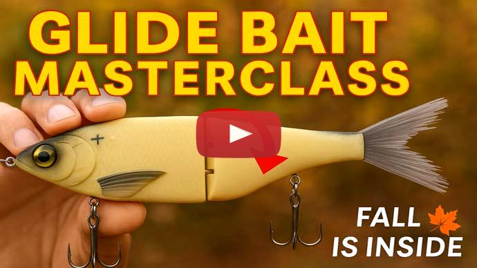 fall glide baits