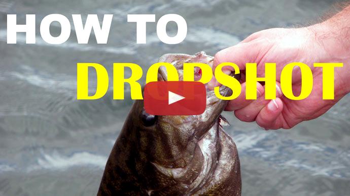 Dropshot fishing