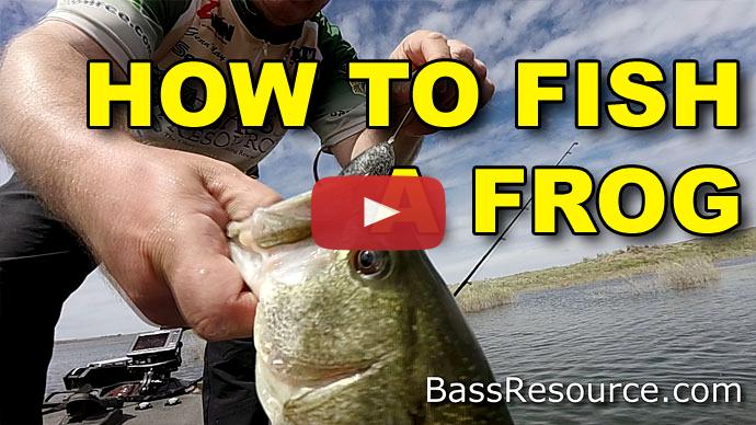 How To Fish A Frog