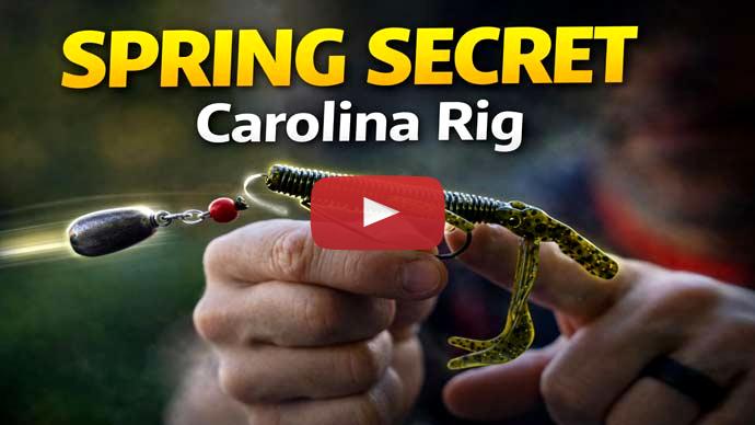 Carolina Rig Spring