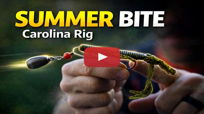 carolina rig
