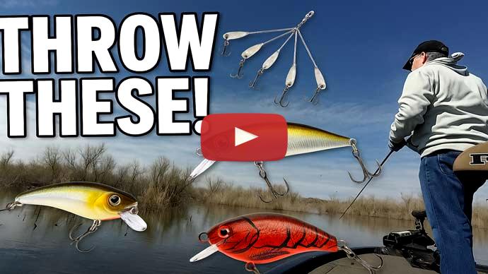 Spring bass fishing