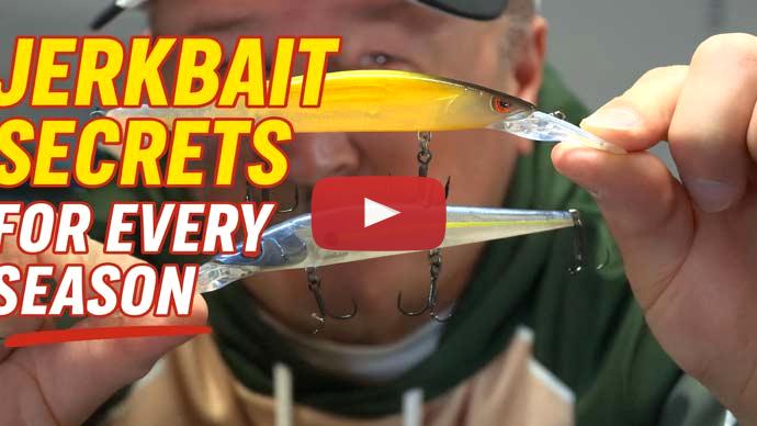 Jerkbaits