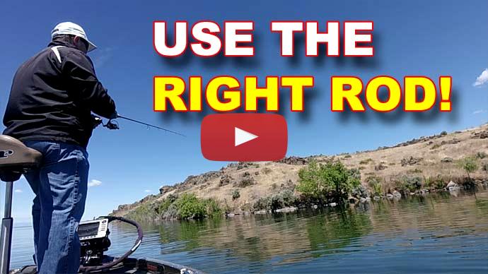 Spring fishing gear