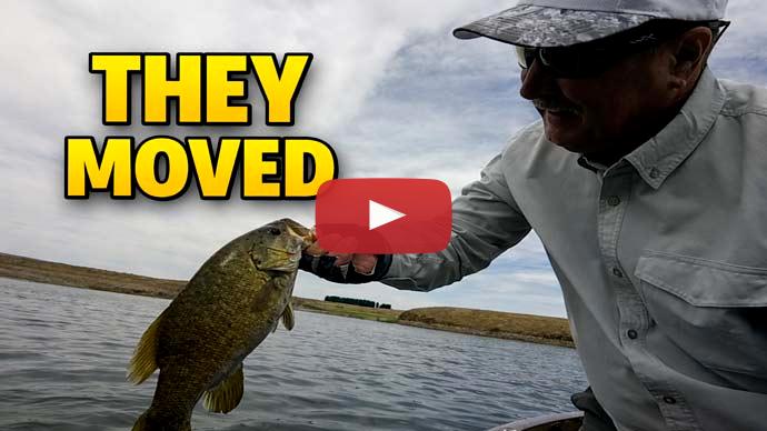 post spawn bass fishing