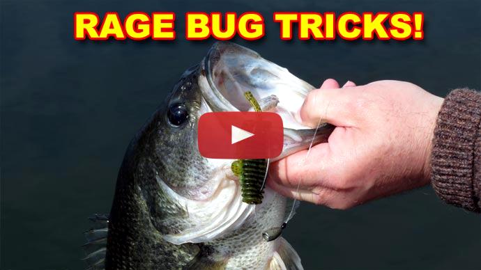 Rage Bug Tips That Work!