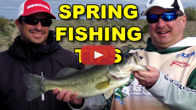 Spring Bass Fishing Tips