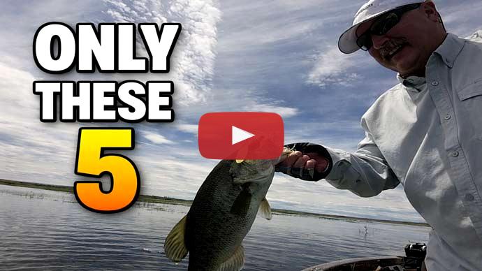 Spring bass fishing lures