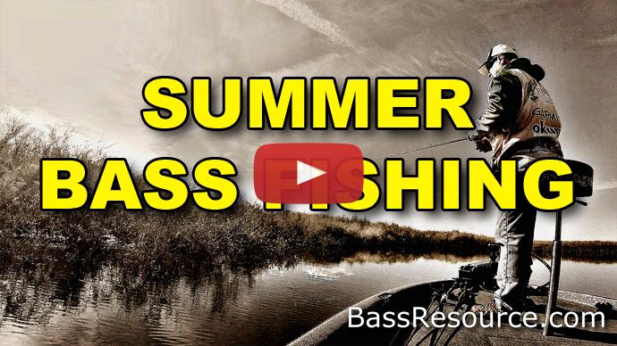 Summer Bass Fishing