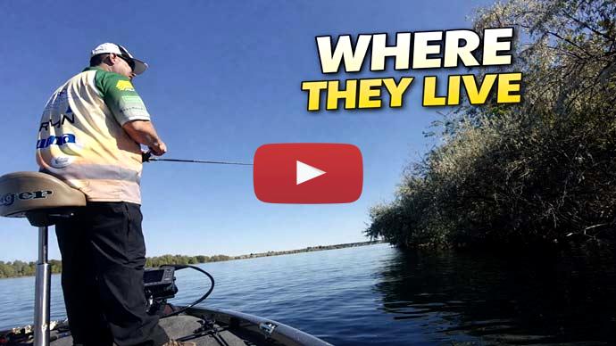 summer river smallmouth