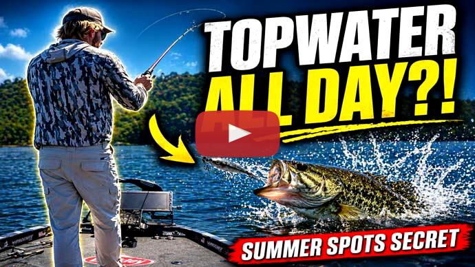 Summer spotted bass
