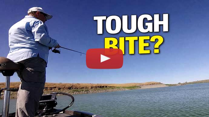 tough bite