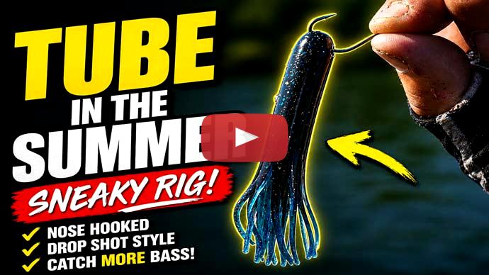 Tube baits