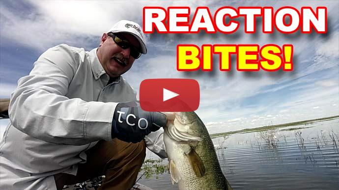 Bass fishing