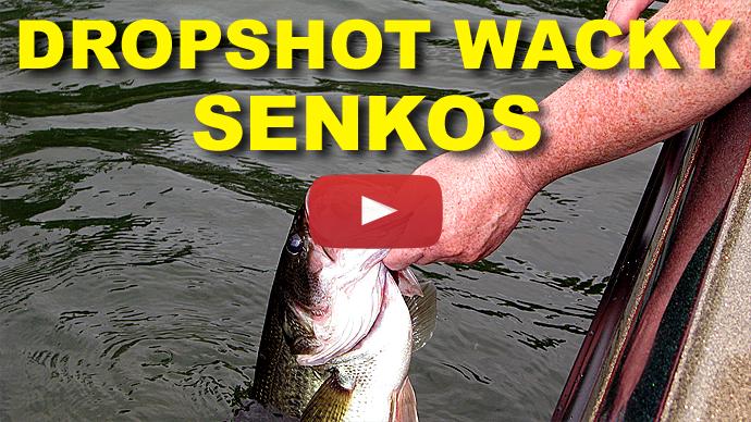 Wacky Rig - Dropshot Senko | How To Fish