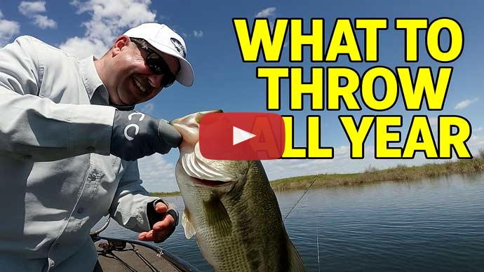 bass fishing