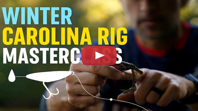 Winter Carolina Rig