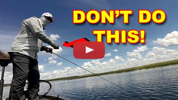 Bass fishing