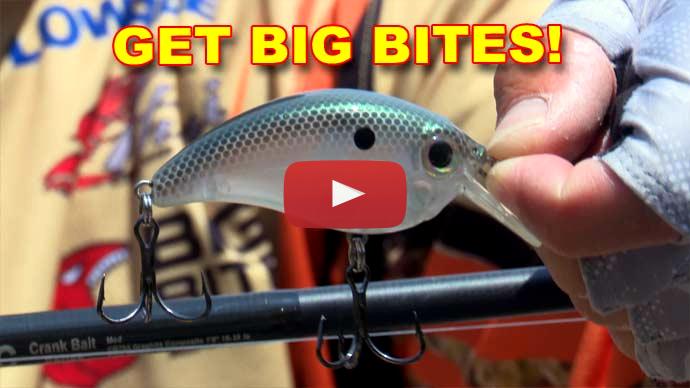 fall bass fishing