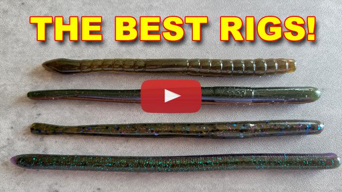 August bass fishing summer