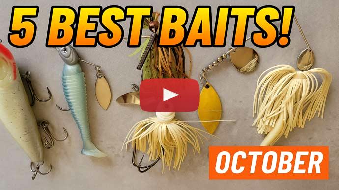 Bass baits for October