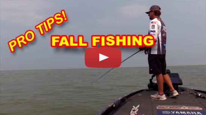 Fall bass fishing