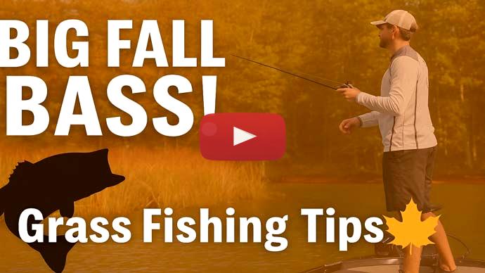 fall grass fishing