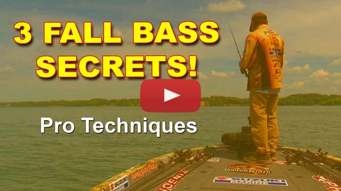 Fall bass fishing tips
