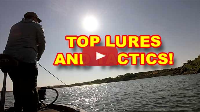 Summer Bass Fishing Videos  The Ultimate Bass Fishing Resource