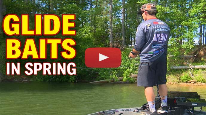 Glide baits spring