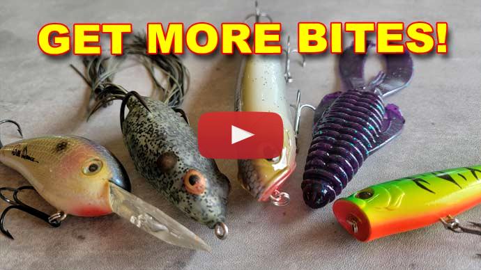 How to catch bass in september