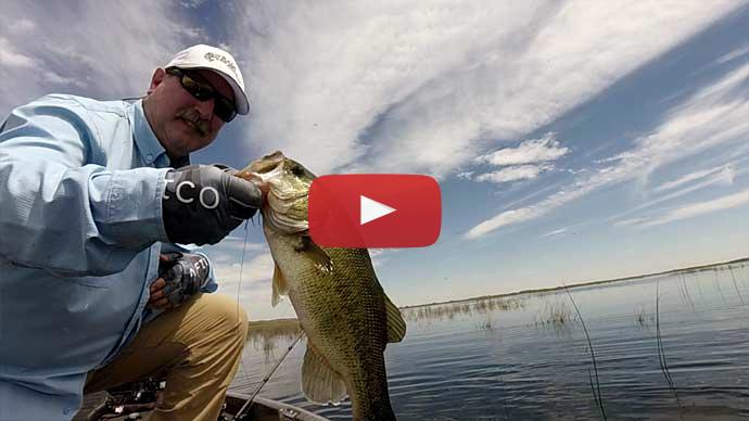 Fishing Hot Spot