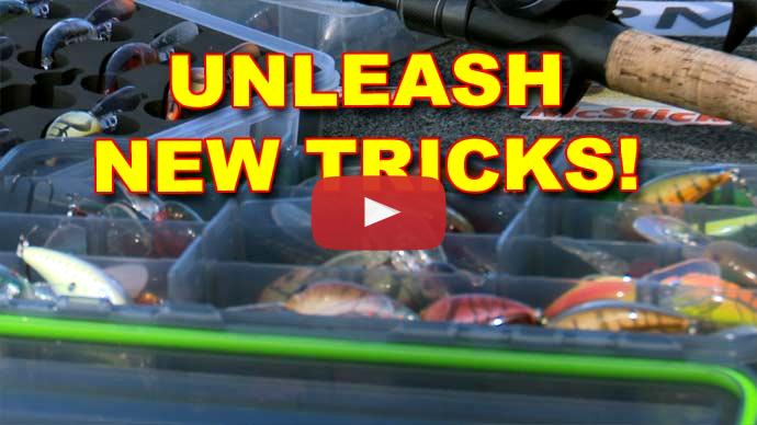 Crankbaits
