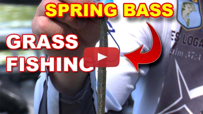 Spring Grass Fishing