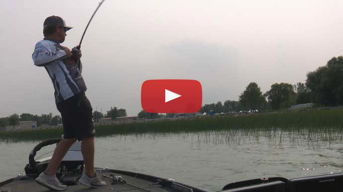 Summer bass fishing