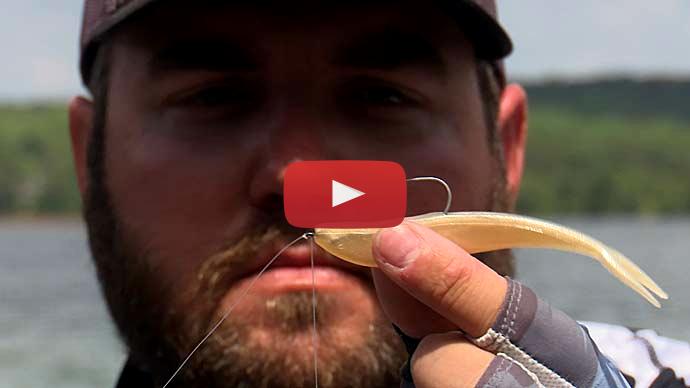 Summer swimbait