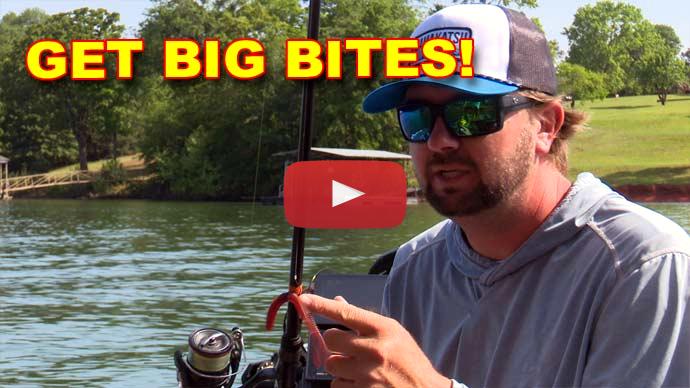 August summer bass fishing