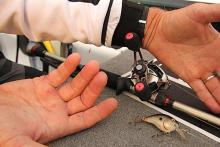Gary Klein’s hands are a sore sight from being sliced and stabbed by treble hooks and fish fins.
