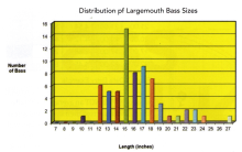 Figure 6. Distribution "good" Lake (Click to enlarge)