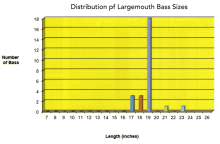 Figure 7. Distribution in the "poor" lake (Click to enlarge)